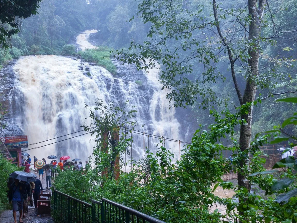 Beauty of Coorg Mysore