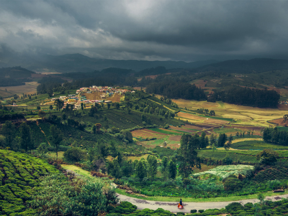 Bangalore Mysore Ooty