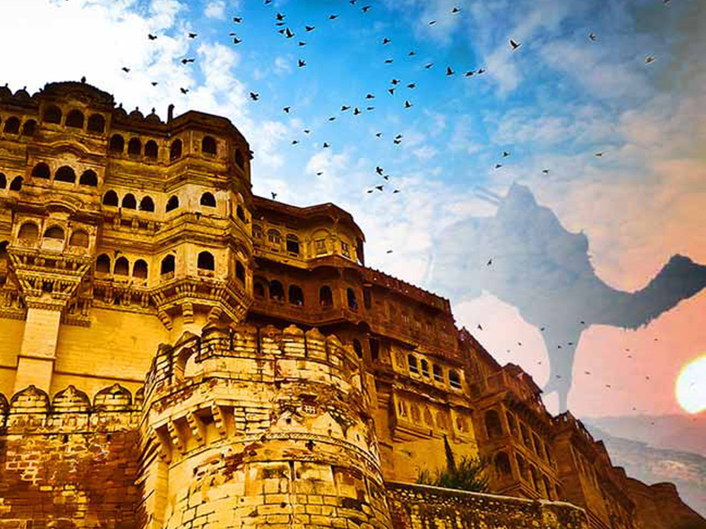 Unlimited Rajasthan Tour