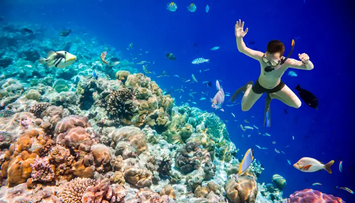 Maldives Adventure & Leisure Tour