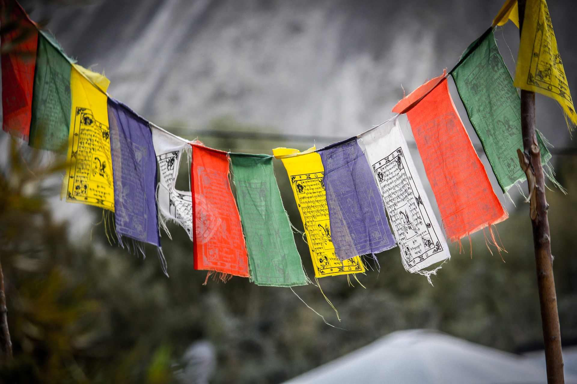 Leh, Nubra, Pangong Trip